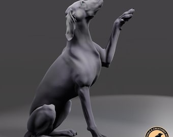 Various Featured Artists
