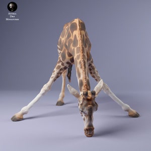 Könnte beinhalten: Eine braune und weiße Giraffenfigur mit langem Hals und langen Beinen. Die Giraffe steht mit gesenktem Kopf, als würde sie fressen.
