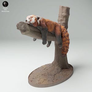 Red Panda Sleeping - UNPAINTED 3D Resin Figure - Animal Den Miniatures