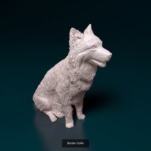 May include: A white ceramic figurine of a Border Collie dog sitting with its head turned to the right. The dog has a fluffy coat and a friendly expression.