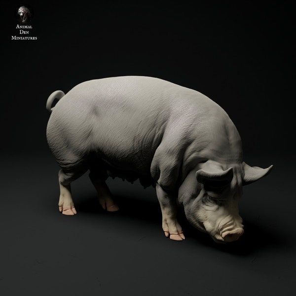 Berkshire Pig Grazing - UNPAINTED - Animal Den Miniatures