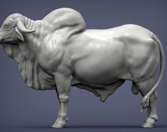 Alexander3dart