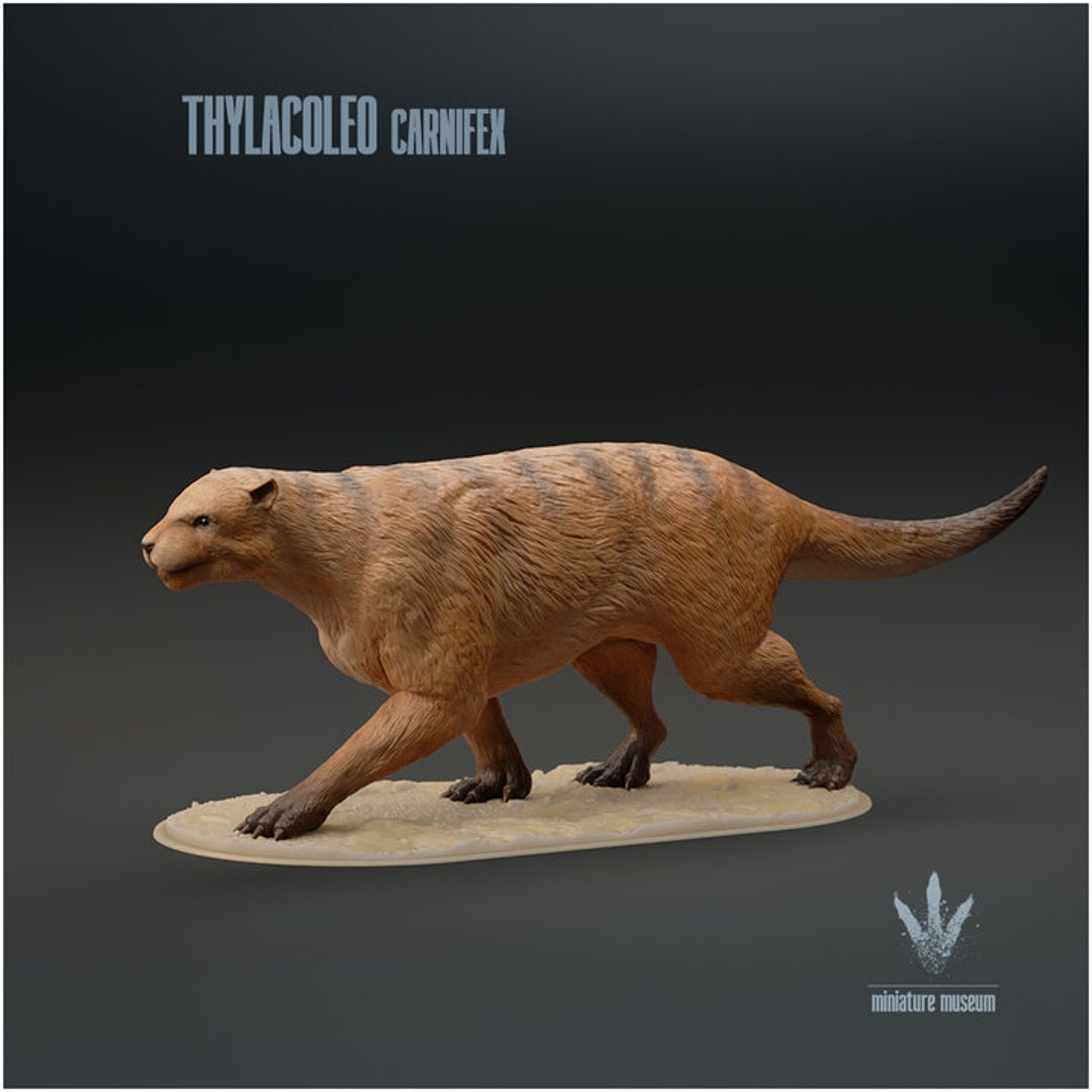 Thylacoleo Carnifex : the Marsupial Lion - UNPAINTED - Miniature Museum -  Etsy