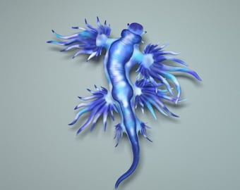 Glaucus atlanticus - UNPAINTED - Animal Den Miniatures