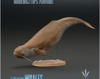 Odobenocetops peruvianus : The Walrus Dolphin - UNPAINTED - Miniature Museum