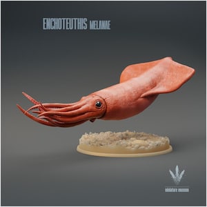 May include: A miniature model of an Enchoteuthis melanae squid with reddish-orange skin, dark eyes, and multiple tentacles. The figure is mounted on a circular base with a textured, sandy-coloured surface. The text Enchoteuthis melanae appears above.