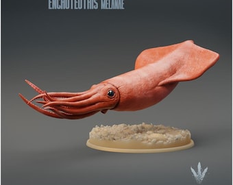 Enchoteuthis melanae : The Spear Squid - UNPAINTED 3D Resin Figure - Miniature Museum