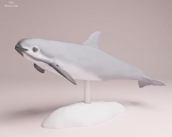 Vaquita - Dolphin - UNPAINTED 3D Resin Figure - Animal Den Miniatures