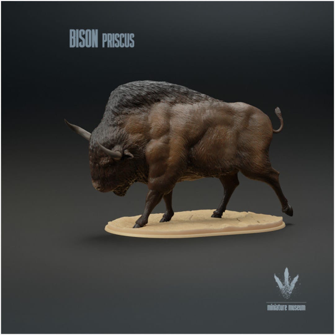 Bison Priscus - UNPAINTED - Miniature Museum - Etsy