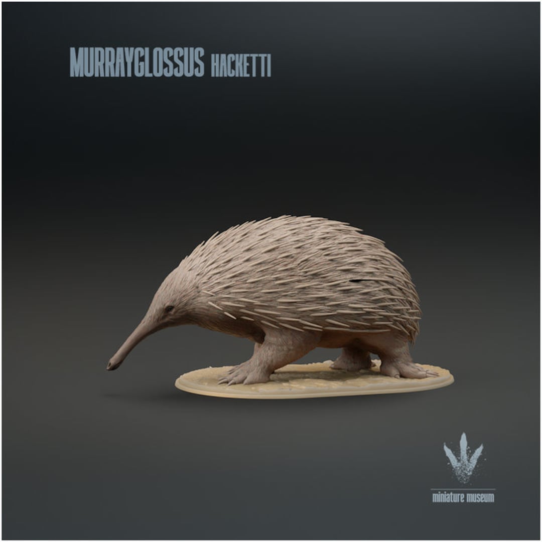 Murrayglossus Hacketti : Giant Echidna - UNPAINTED - Miniature