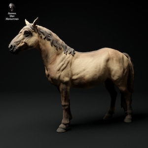 Konik Horse - UNPAINTED - Animal Den Miniatures