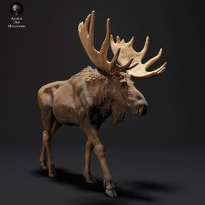 May include: A detailed brown moose figurine with large, light-coloured antlers. The sculpture is set against a dark background, showcasing the intricate details of the animal's fur and form. The logo "ANIMAL DEN MINIATURES" is in the top left corner.