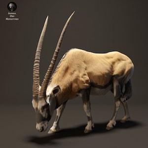 Gemsbok Grazing - UNPAINTED - Animal Den Miniatures