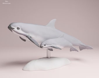Vaquita Dolphin and calf - UNPAINTED 3D Resin Figure - Animal Den Miniatures