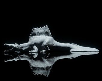 Spinosaurus - Dino and Dog Miniatures