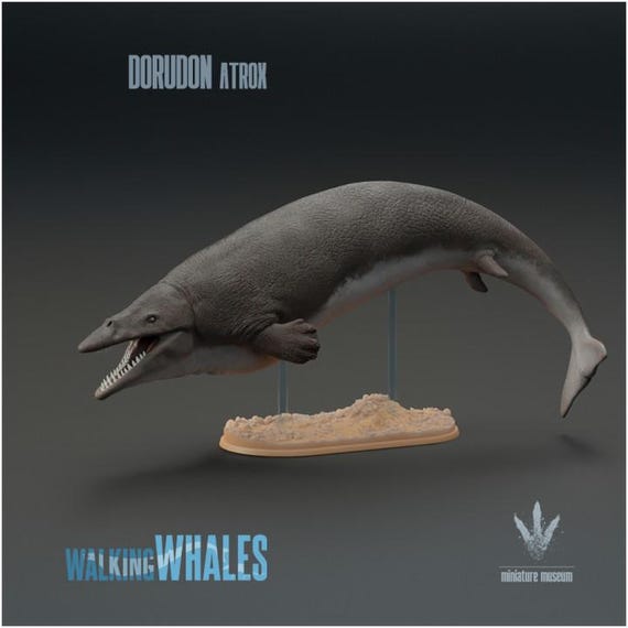 Dorudon Atrox : Spear-toothed Whale - UNPAINTED 3D Resin Figure