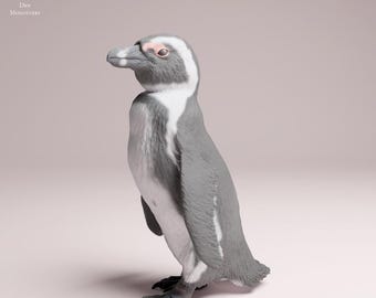 African Penguin - UNPAINTED 3D Resin Figure - Animal Den Miniatures