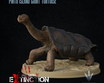 Pinta Island tortoise : Chelonoidis niger abingdonii  - UNPAINTED - Miniature Museum