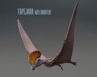 Tapejara wellnhoferi : Flying - UNPAINTED - Miniature Museum