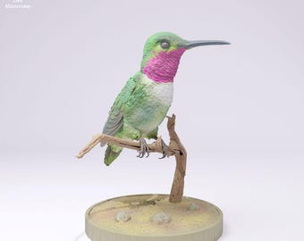 Broad-Tailed Hummingbird - UNPAINTED - Animal Den Miniatures