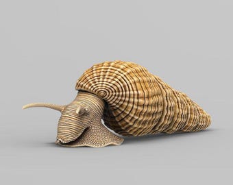 Tylomelania - UNPAINTED - Alexander3dart