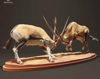 Gemsboks Fighting - UNPAINTED - Animal Den Miniatures