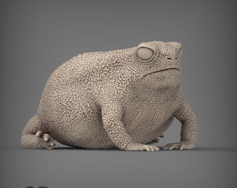 Rain Frog - UNPAINTED - Alexander3dart