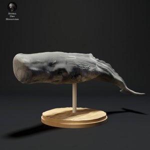 Sperm Whale - UNPAINTED 3D Resin Figure - Animal Den Miniatures