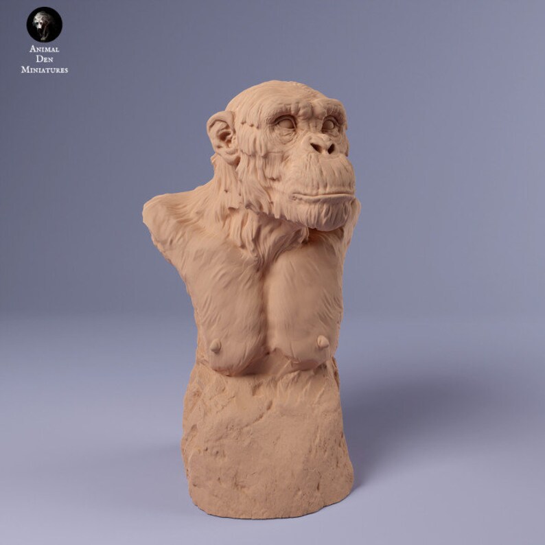 Chimpanzee Bust UNPAINTED Animal Den Miniatures image 1