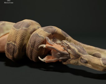 Burmese Python eating Muntjac - UNPAINTED -  Animal Den Miniatures