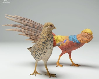 Golden Pheasant Male and Female - UNPAINTED - Animal Den Miniatures