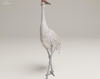 Greater Sandhill Crane - UNPAINTED 3D resin print/figure - Animal Den Miniatures