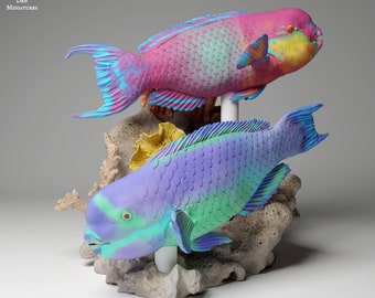 Steephead Parrotfish - UNPAINTED - Animal Den Miniatures