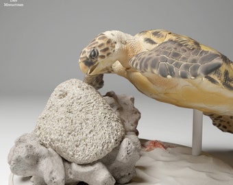 Hawksbill Sea Turtle Feed - UNPAINTED - Animal Den Miniatures