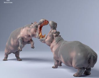 Hippos Fighting - UNPAINTED 3D resin print/figue - Animal Den Miniatures