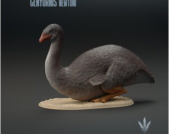 Genyornis newtoni : Sitting  - UNPAINTED - Miniature Museum