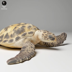 Peut inclure: Une figurine réaliste et détaillée d'une tortue de mer avec une carapace brune et beige et une tête brun clair. La tortue est couchée sur le ventre, les nageoires déployées.