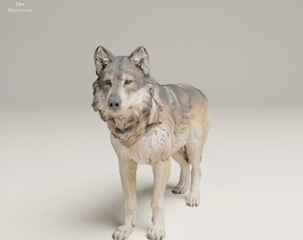 Grey Wolf - UNPAINTED 3D resin print/figure - Animal Den Miniatures
