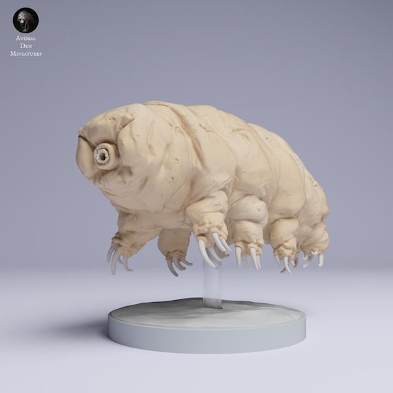 クマムシ標本セット テディなクマムシ フィギュアコレクション