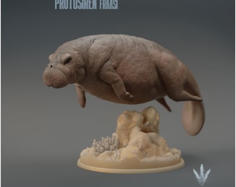 Protosiren fraasi : The Prehistoric Manatee - UNPAINTED 3D Resin Figure - Miniature Museum