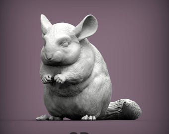 Chinchilla - UNPAINTED 3D figure - Alexander3dart