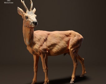 Roe Deer - UNPAINTED- Animal Den Miniatures