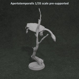 Tortuga Apertotemporalis - Miniaturas de dinosaurios y perros
