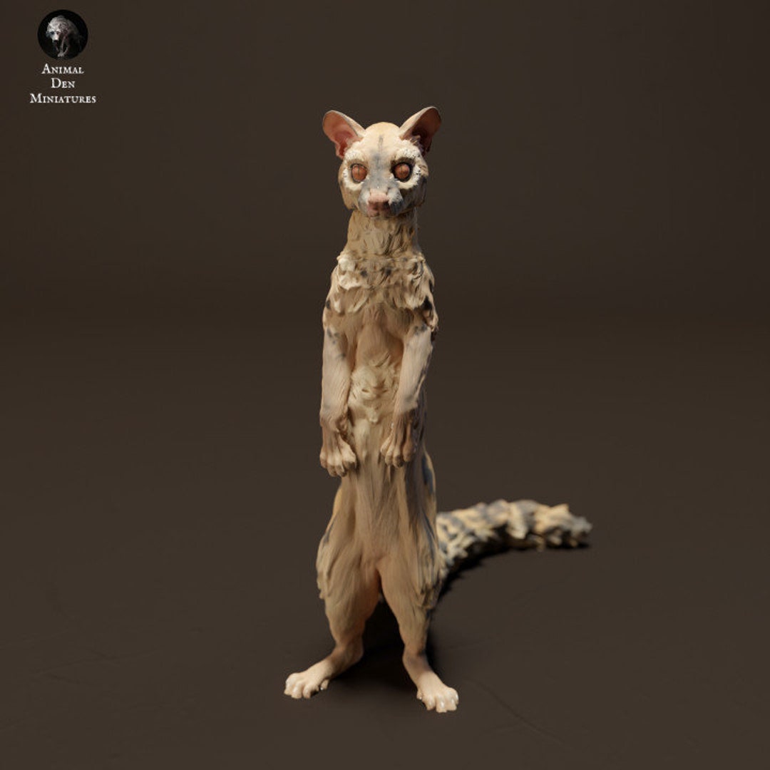 Common Genet Standing - UNPAINTED 3D Resin Figure - Animal Den ...