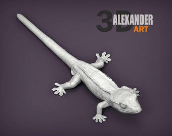 Eyelash banana gecko - UNPAINTED - Alexander3dart