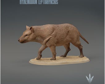Hyaenodon leptorhynchus : The Hyaena Tooth - UNPAINTED 3D Resin Figure - Miniature Museum
