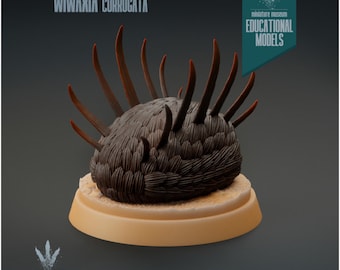 Wiwaxia corrugata - UNPAINTED - Miniature Museum