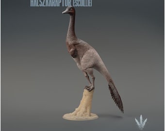 Halszkaraptor escuilliei : Halszka's seizer - UNPAINTED 3D Resin Figure - Miniature Museum