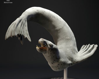 Leopard Seal Swim - UNPAINTED - Animal Den Miniatures