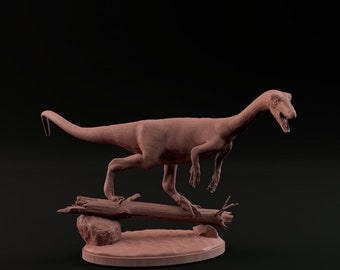 Coelophysis - Dino and Dog Miniatures